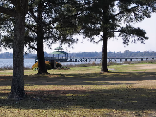 Brittlebank Park